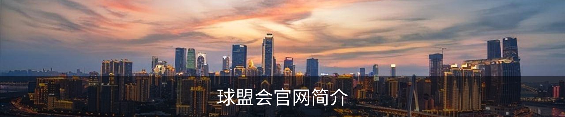 球盟会官网简介